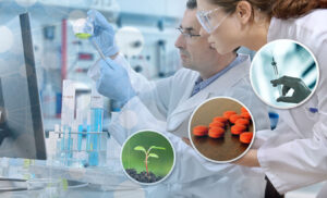 Top 10 Third Party Manufacturing Pharma Companies in Haryana
